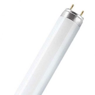 TUBO FLUORESCENTE BASIC L18/865-18W